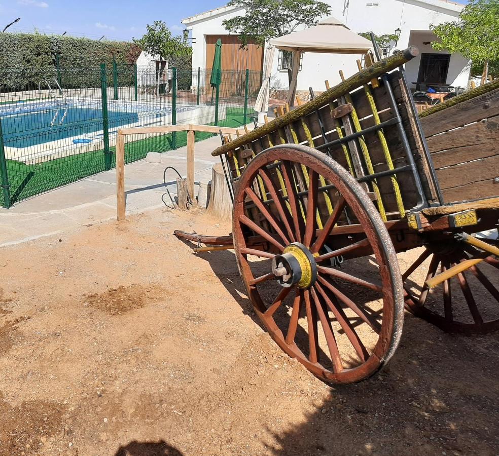 Casa Rural La Cerca Madridejos Zewnętrze zdjęcie